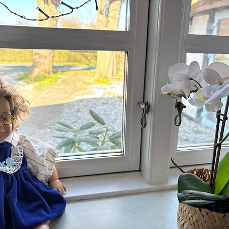 Willa Troldehuset Bogense Zewnętrze zdjęcie